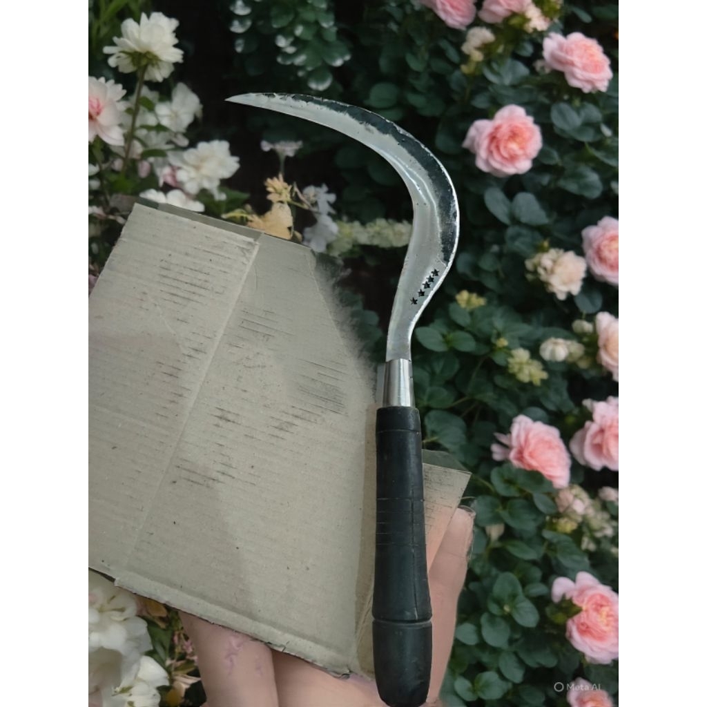 Arit ramban aslibintang 5 ORI madura