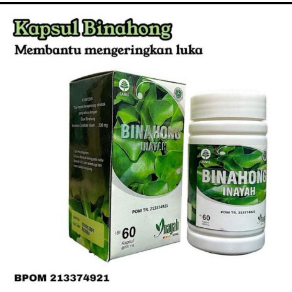 Kapsul Binahong Daun Binahong Inayah Original