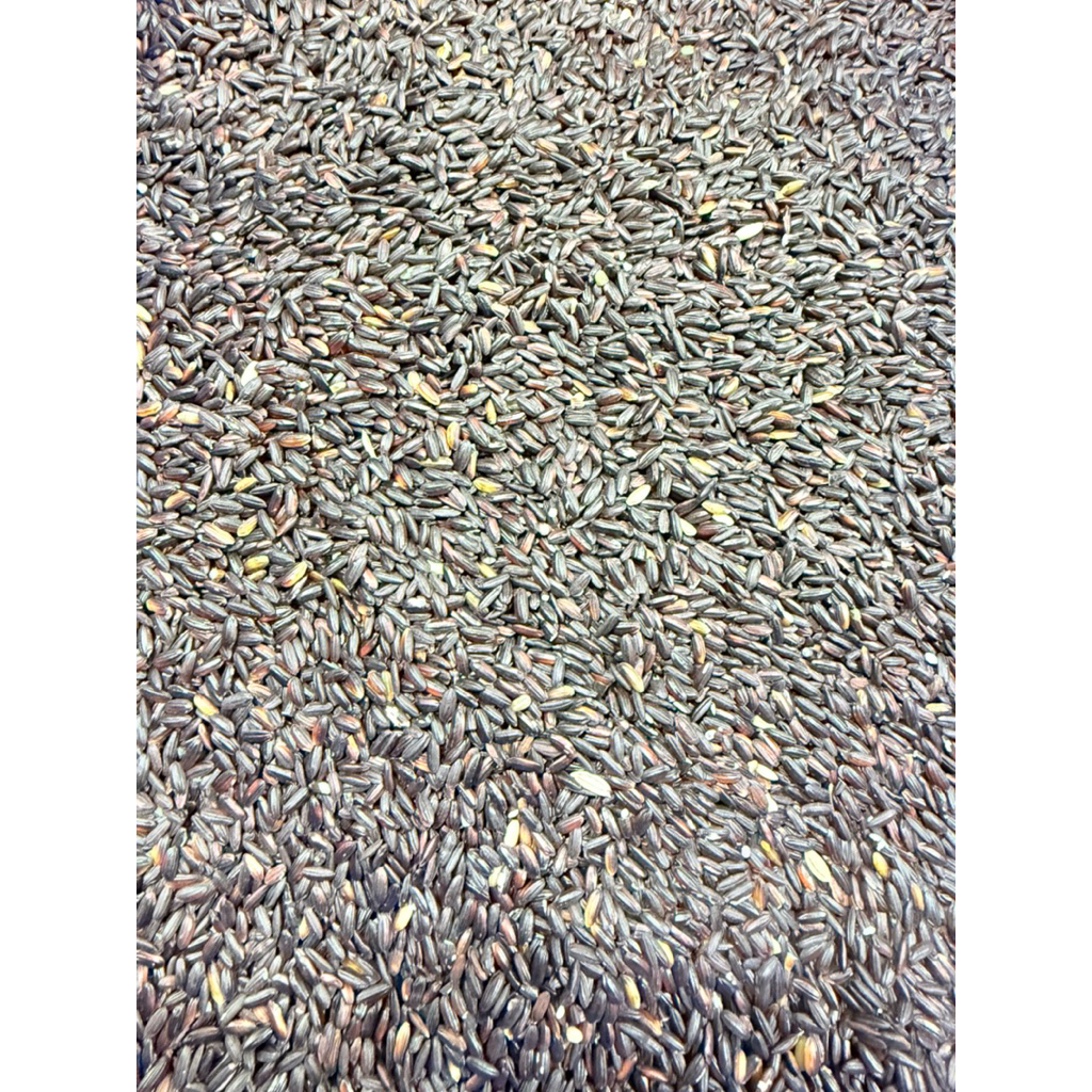 KETAN HITAM & KETAN PUTIH 1 KG