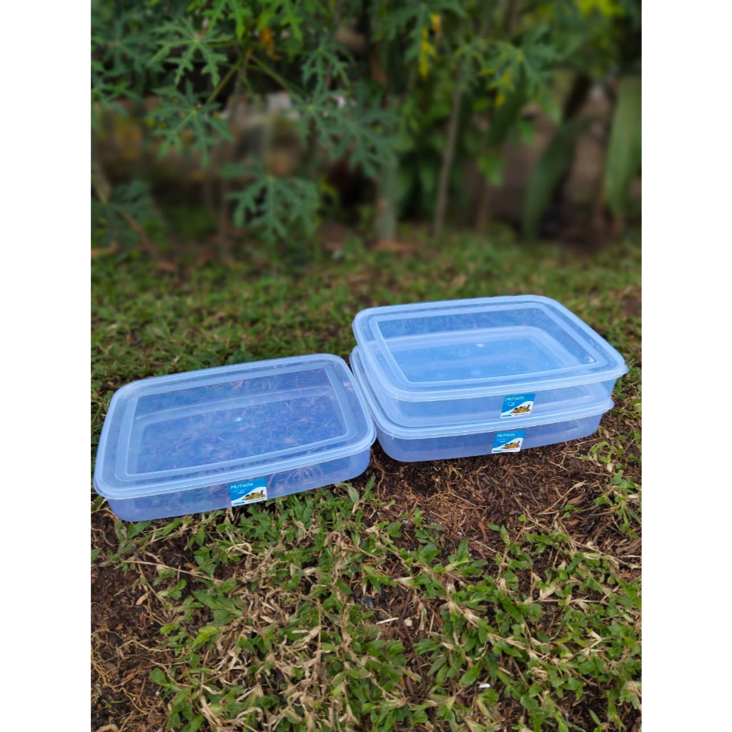 3pcs Food Box 2000ml Plastik Kotak Makan 2L Tempat Donat KMP Mutiara Pack 2000ml Container Serbaguna