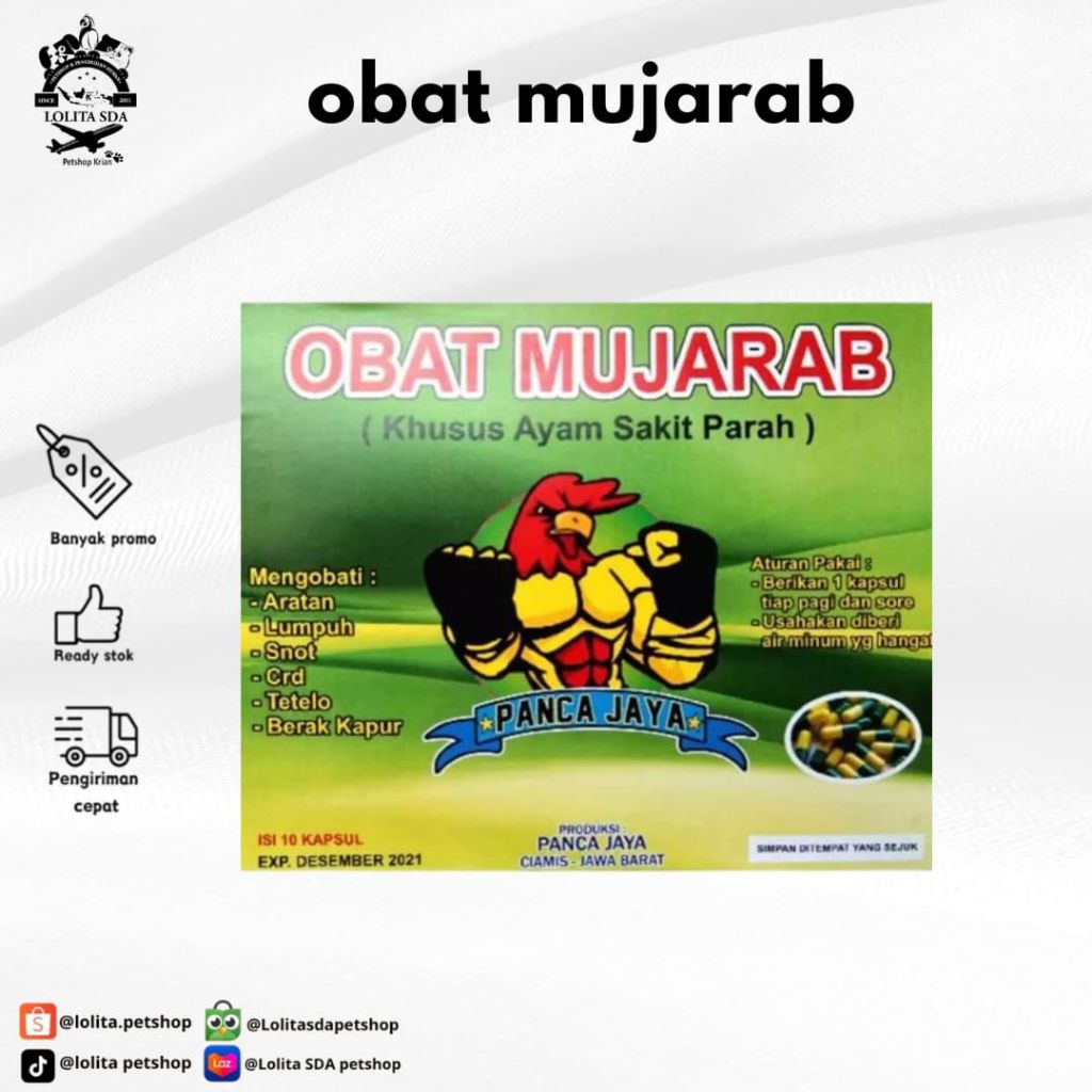 Obat mujarab kaki ayam sakit parah