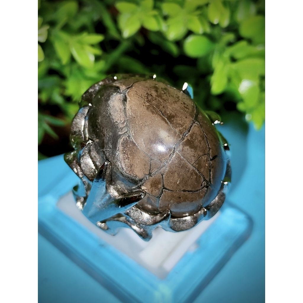 akik jolo sutro full badar perak 01