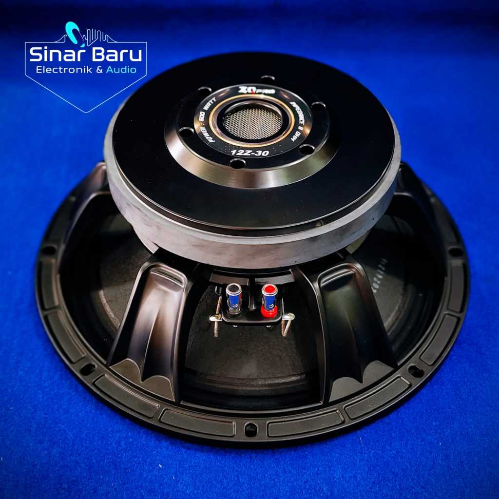 Speaker ZQ PRO 12 Inch 12Z 30 Midlow