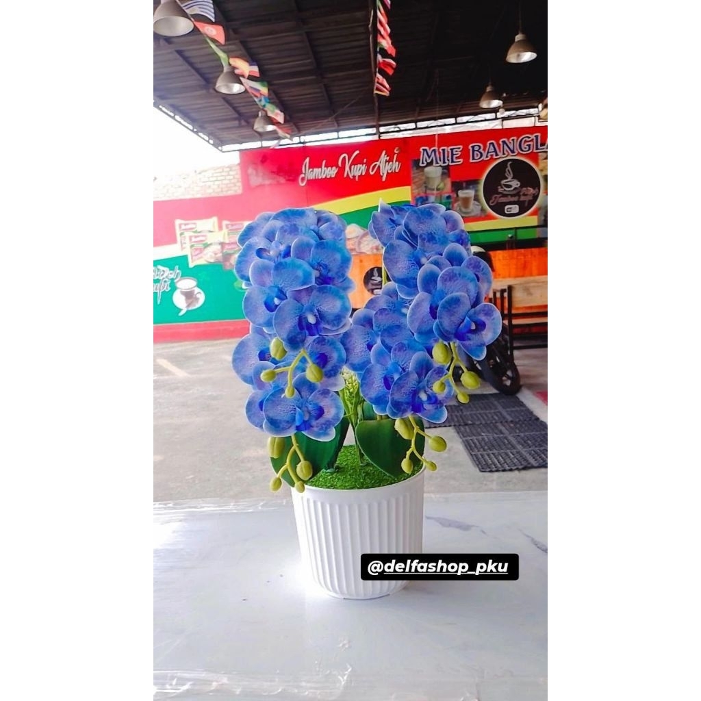 Anggrek latex 4 tangkai pot plastik