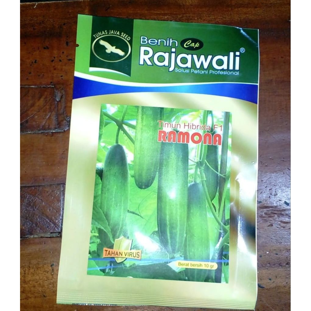 Benih Mentimun Ramona G2o Hibrida F1 Benih Rajawali