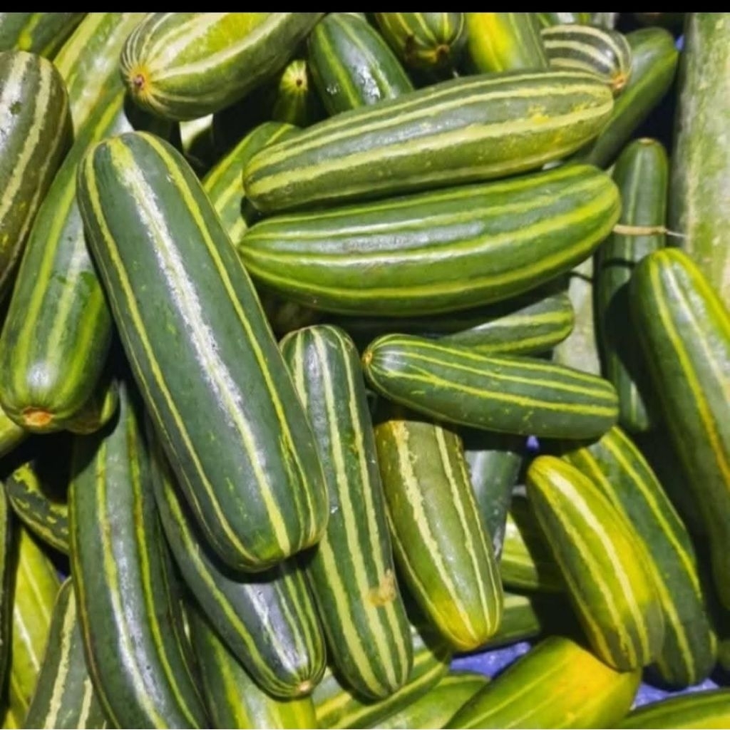 sayur Krai/Krai segar renyah