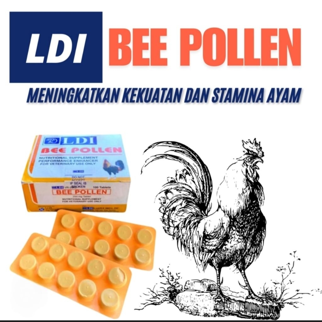 Bee pollen ldi obat ayam