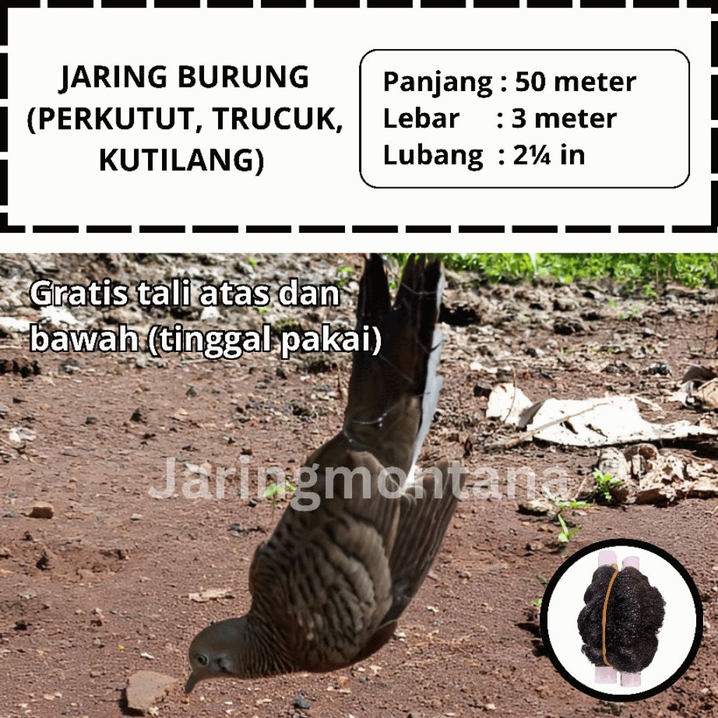 JARING PERKUTUT 50 METER JEBAKAN BURUNG SIAP PAKAI JARING BURUNG KUTILANG