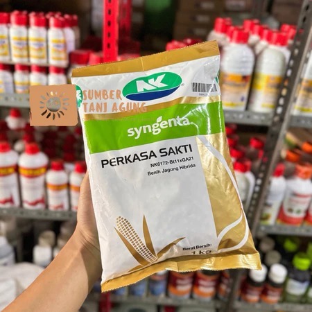 BENIH JAGUNG NK PERKASA SAKTI 1 KG - Benih Jagung Syngenta NK Sakti