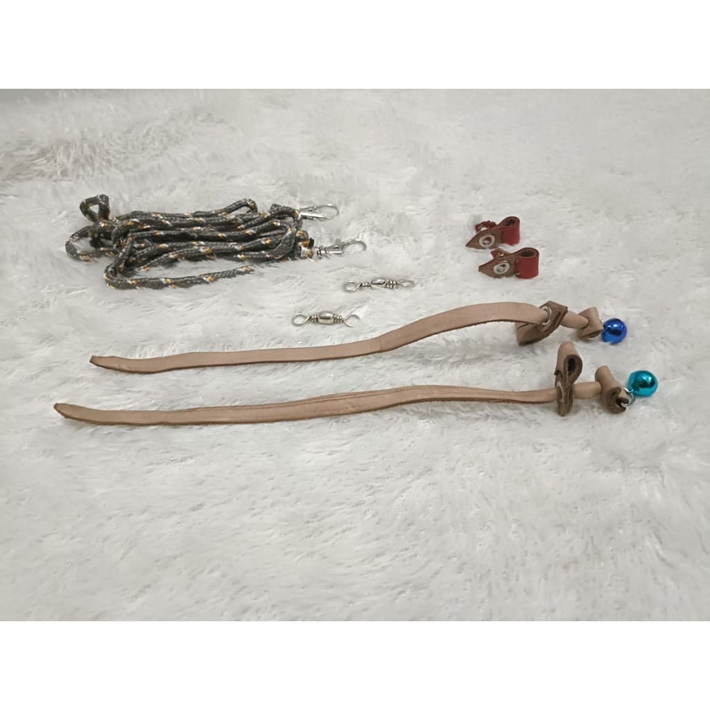 anglet burung alap alap dan burung hantu