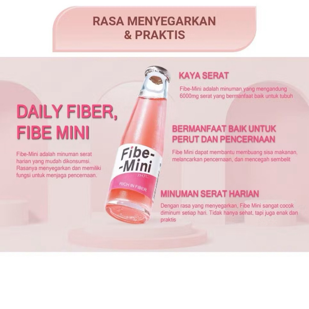 FIBE MINI RICH IN FIBER