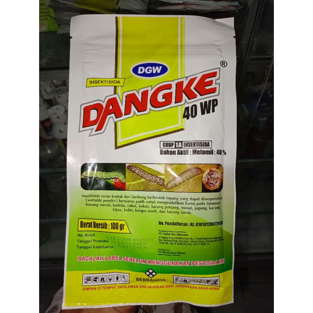 DANGKE 100gr