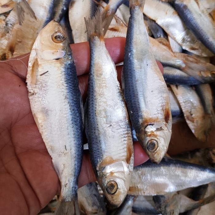 IKAN ASIN REBUS TAMBAN (SEAFOOD KERING)