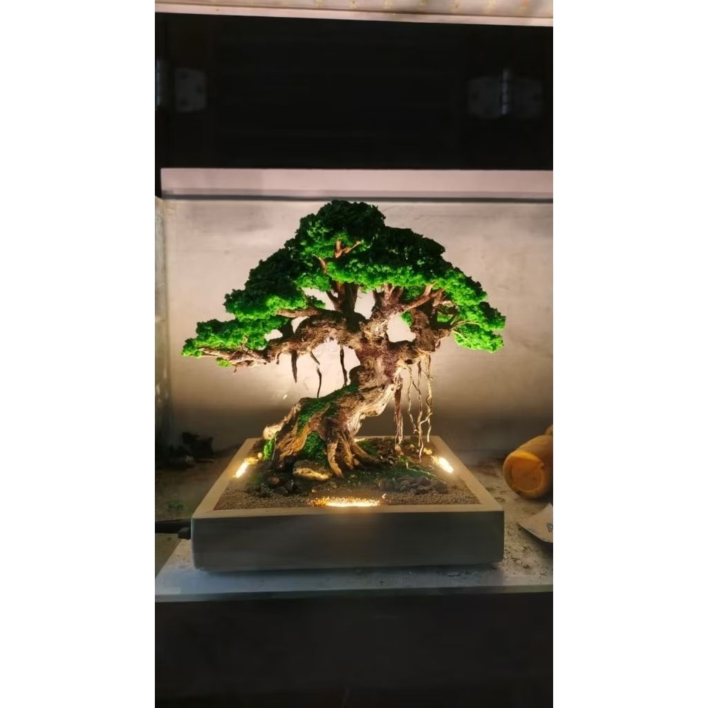 Bonsai Hias Meja Tamu - Ruang tamu & Kantor