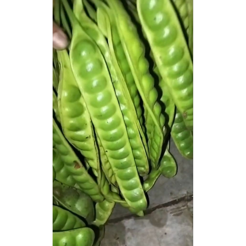 Pete Segar Super 1 Papan Lonjor - Segar, Tua, dan Praktis untuk Camilan