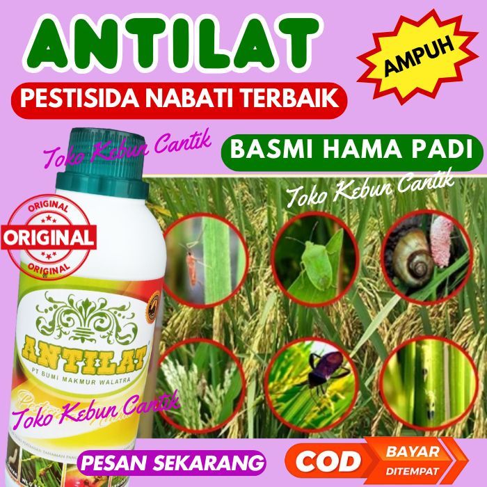 OBAT HAMA PADI SAWAH TERLENGKAP 500ML Anti Ulat Sundep Beluk Wereng Belalang