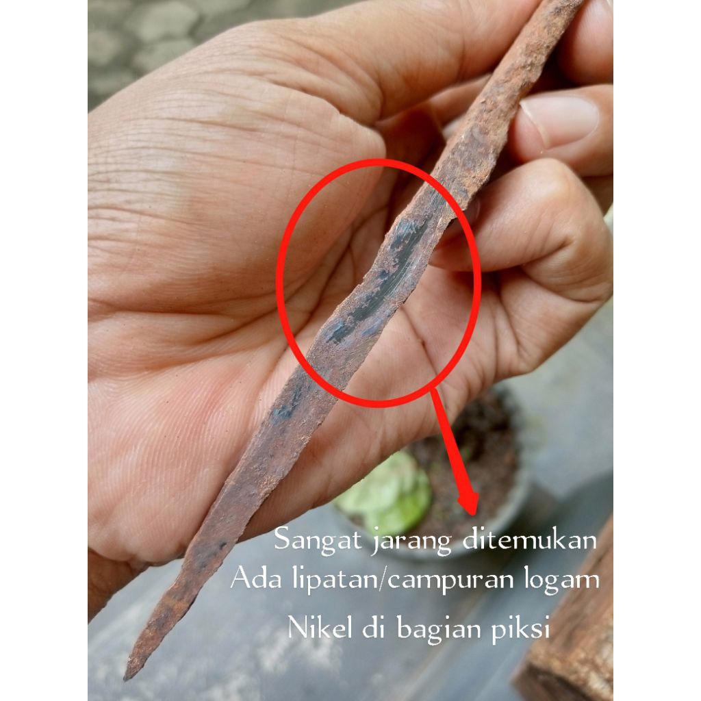 Temuan kudi Kabudhan apa adanya piksi istimewa.