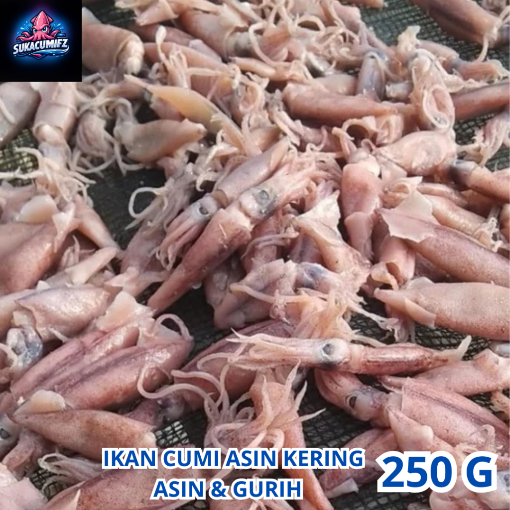 Cumi Sotong Kering 250 Gram Murah Ikan Asin Cumi Kering / Khas Rembang Gread A