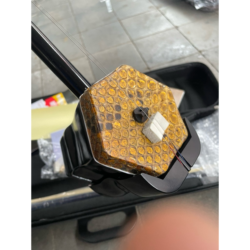 Fullset Erhu Violin Chinesse Biola Erhu