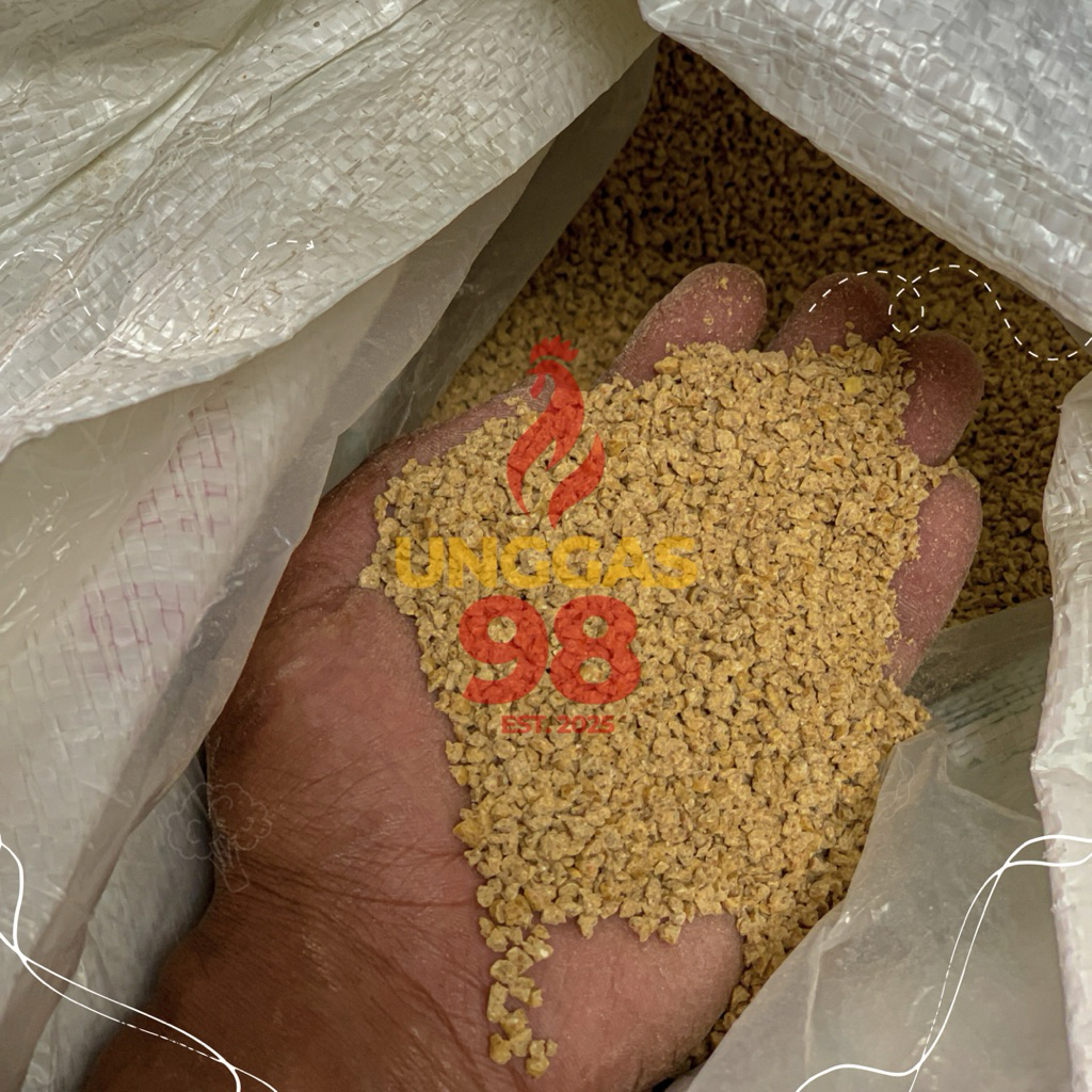 Unggas98 | Voer Pakan DOC Starter Ayam Itik 811K