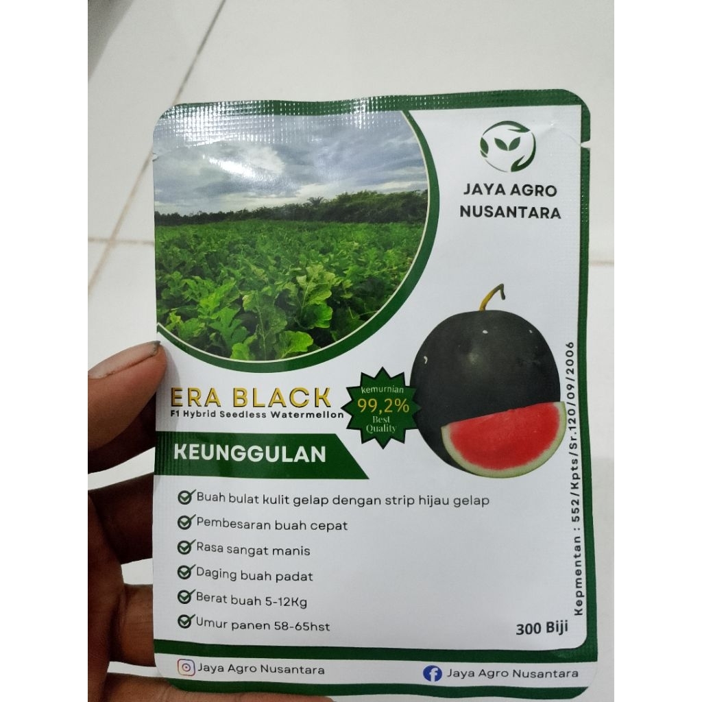 ERA BLACK, benih semangka bulat non biji kulit gelap dengan strip hijau gelap