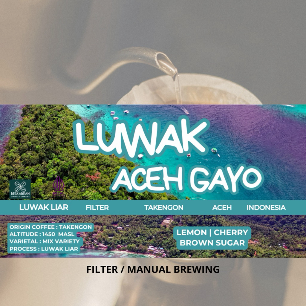 Kopi Luwak aceh gayo | Beskabean | Kopi luwak aceh gayo