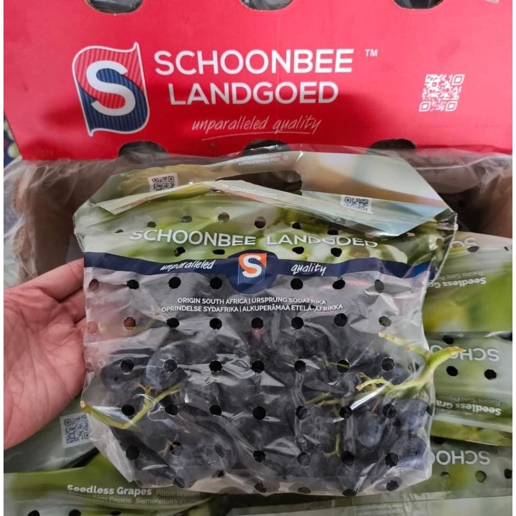 Indukbuah Buah Anggur Black Autumn Midnight 1 Dus