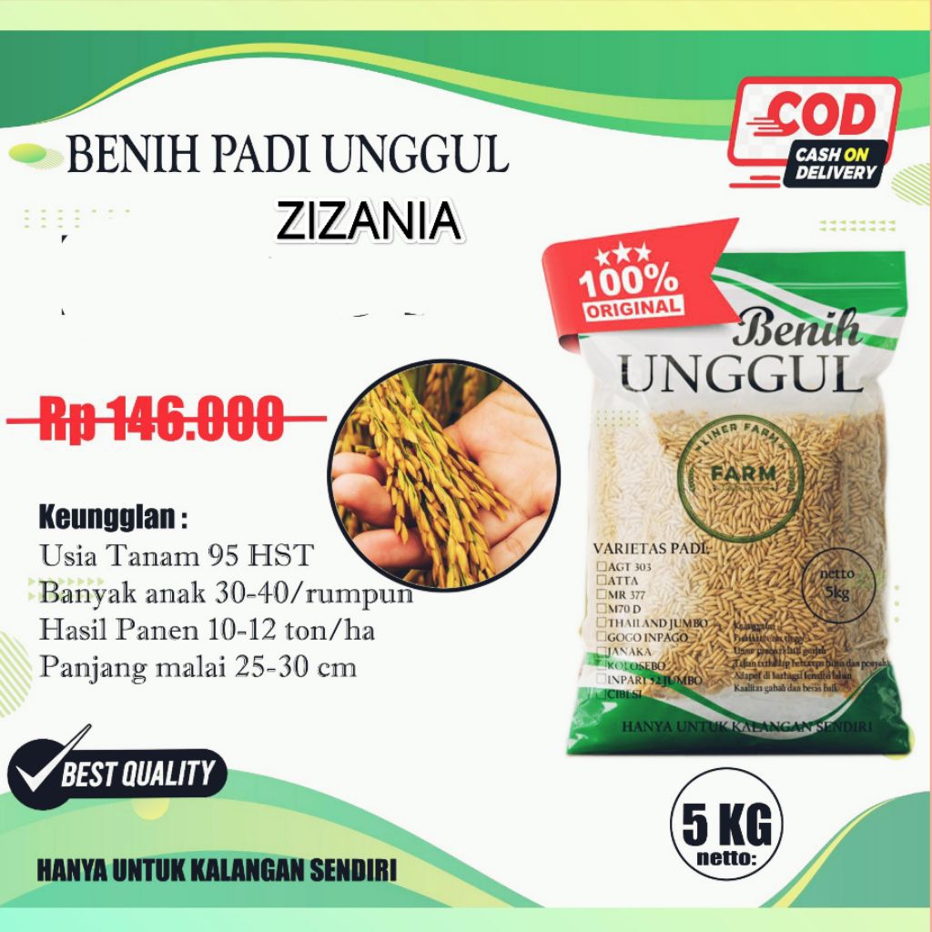 Benih Padi zizania kemasan 5kg.