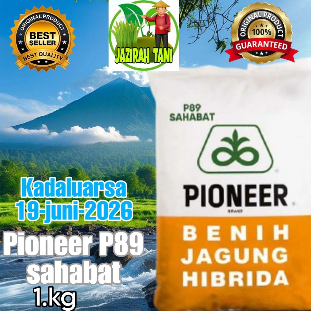 BENIH JAGUNG PIONEER /P.89 SAHABAT