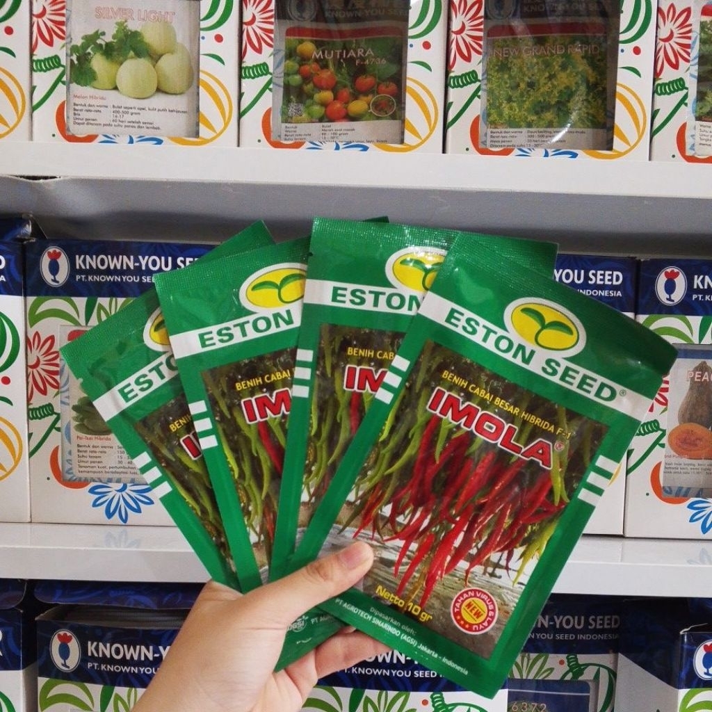 benih cabe IMOLA NEW isi 10gram