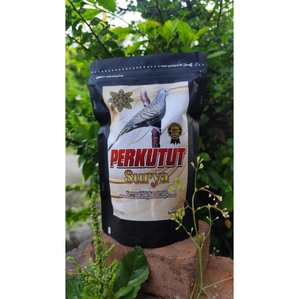 Pakan Burung Perkutut Surya Gacor