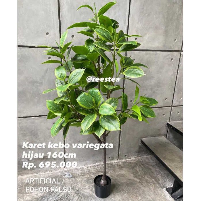 Pohon Hias Karet Kebo Variegata Tinggi 160cm / Pohon Hias Palsu / Artificial plant