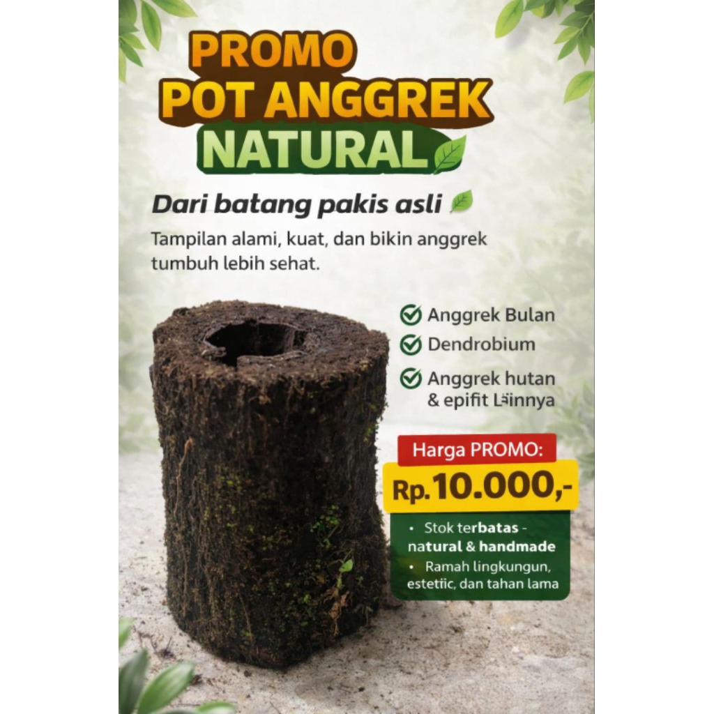Pot*Natural*batang*pakis