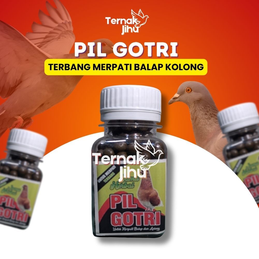 Pil Gotri Jamu Terbang Merpati Balap Kolong dll / isi 250 Butir - Indostross