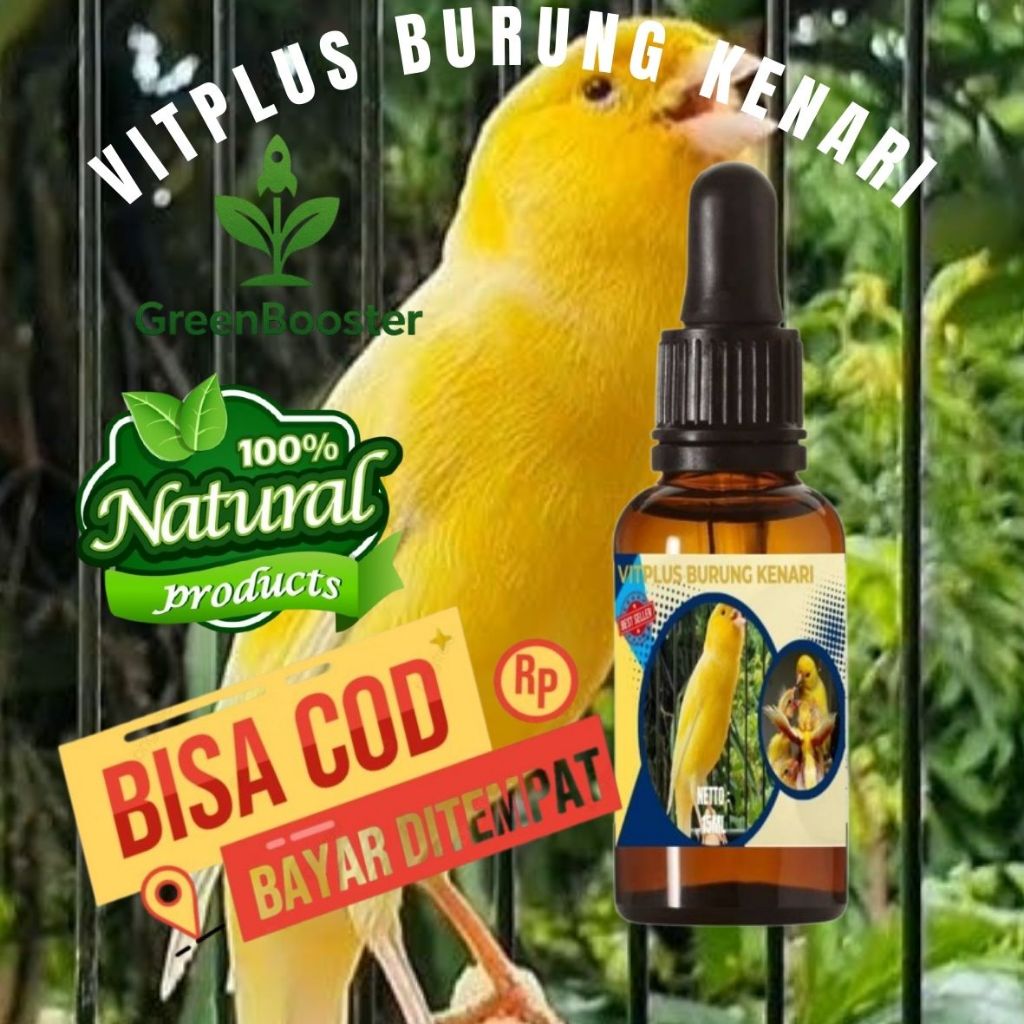 15 ML Vitamin Penggacor Burung KenVitamari / in Burung Kenari / Vitamin Kenari Biar Gacor / Obat Ken