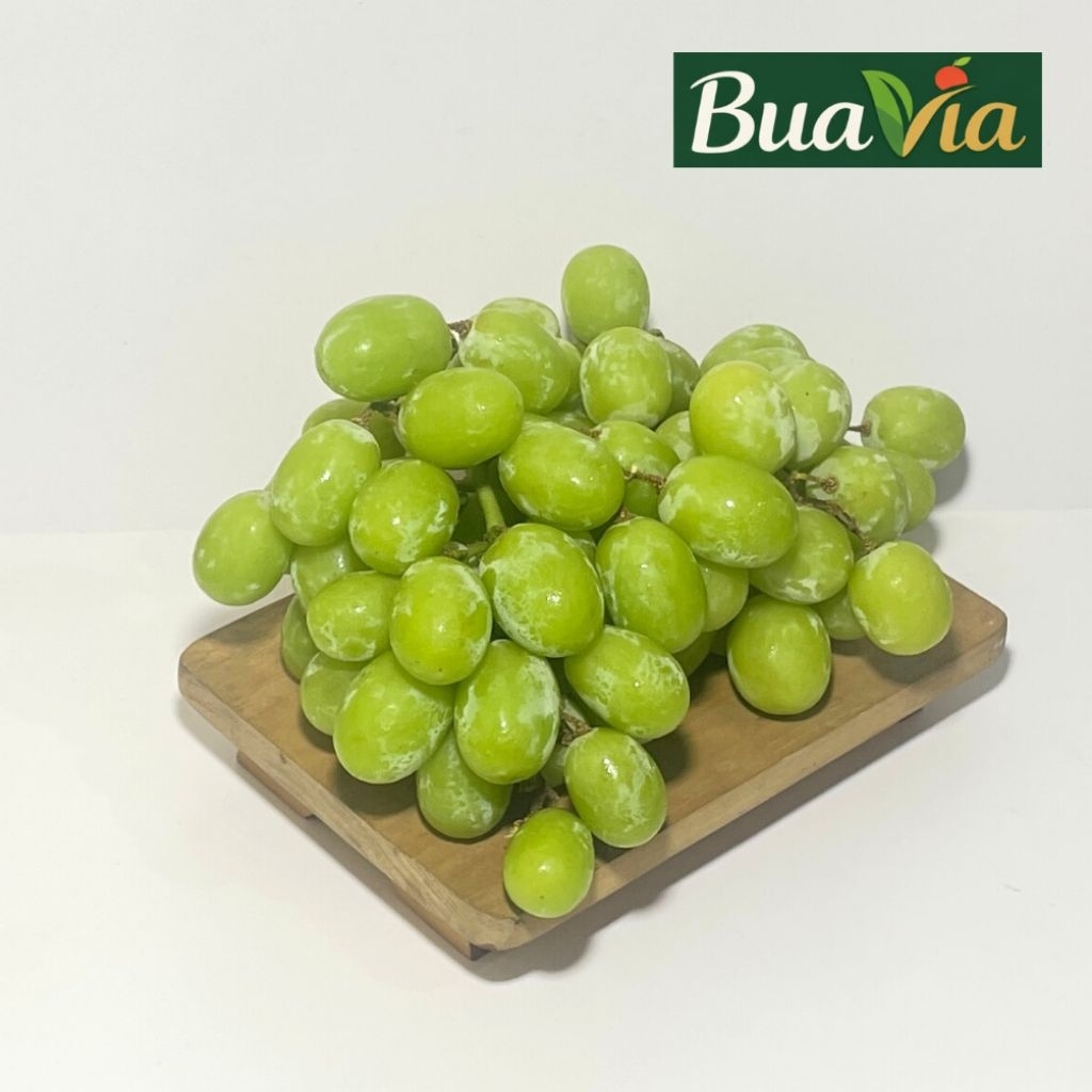 BUAH ANGGUR HIJAU NON BIJI PREMIUM QUALITY 500 GR