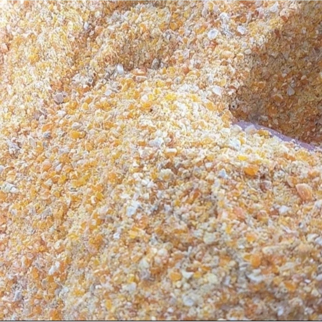Jagung Giling Pakan Ayam