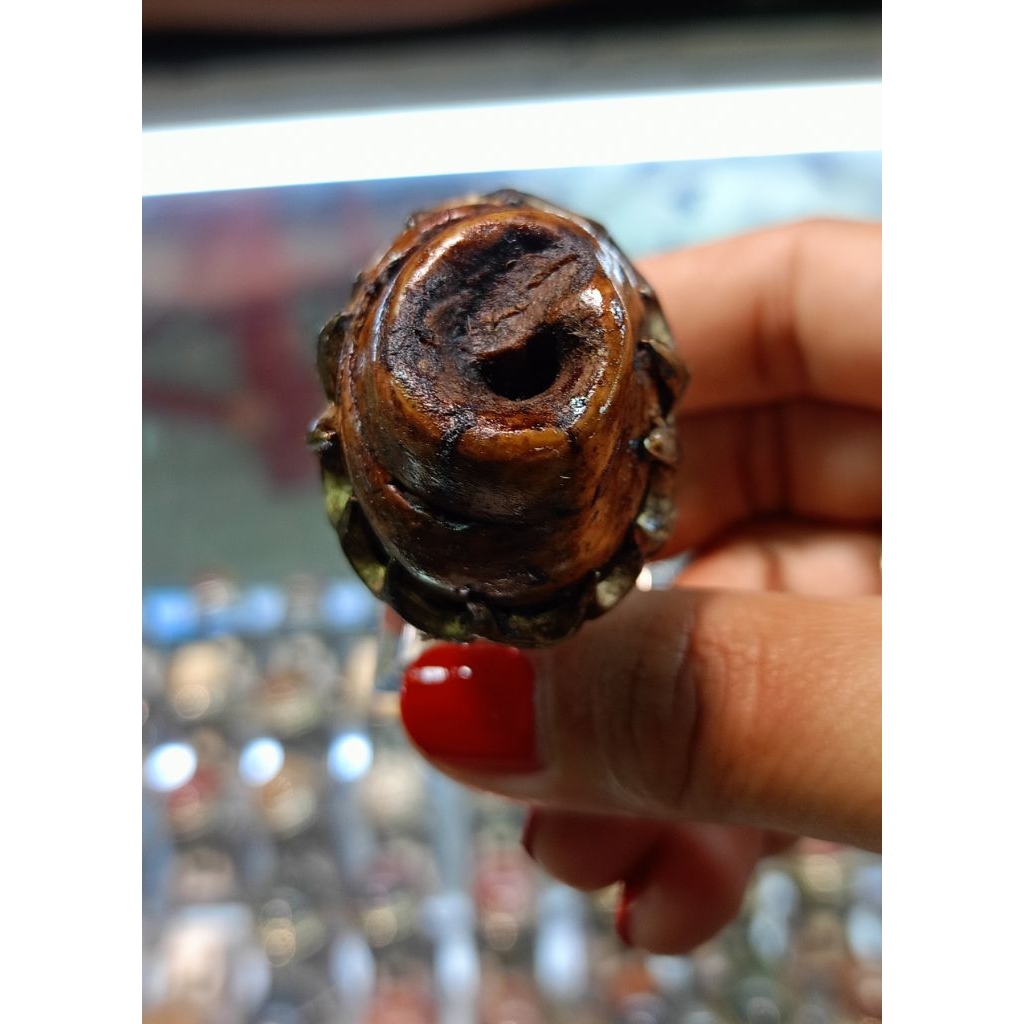 Cincin Fosil keong/kol buntet(Natural)