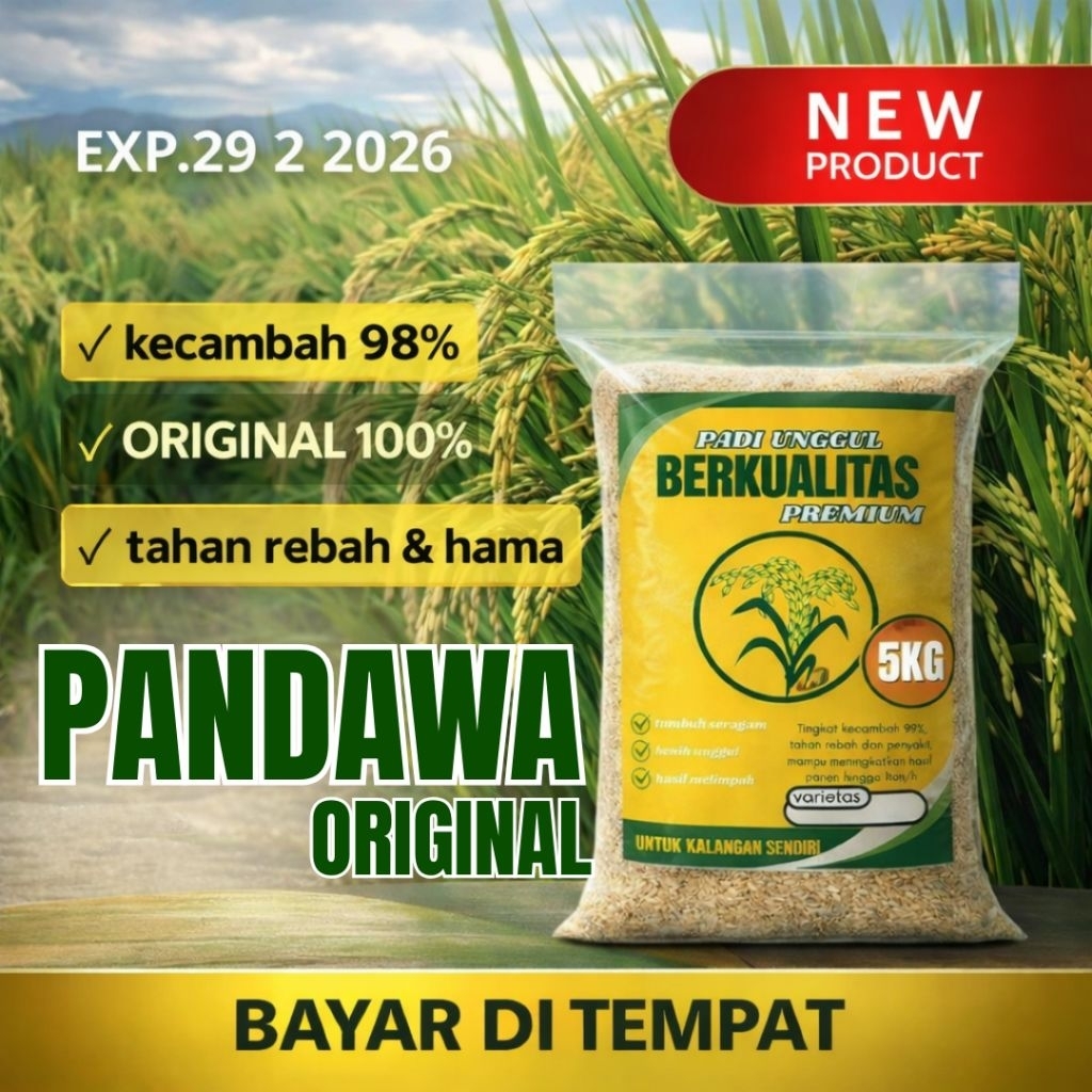 BENIH PADI UNGGUL PANDAWA P05 ORIGINAL 5KG