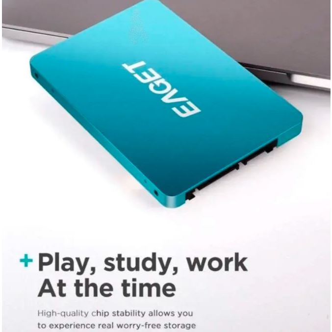 EAGET SSd Sata 2,5 Inch 256 GB