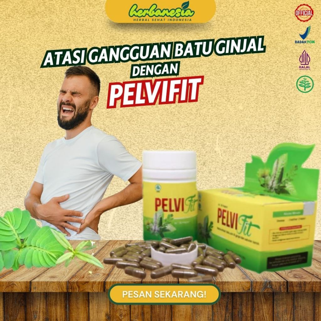 Obat Penghancur Batu Ginjal Batu Empedu Kencing Batu Gagal Ginjal Ginjal Bocor Infeksi Ginjal Radang