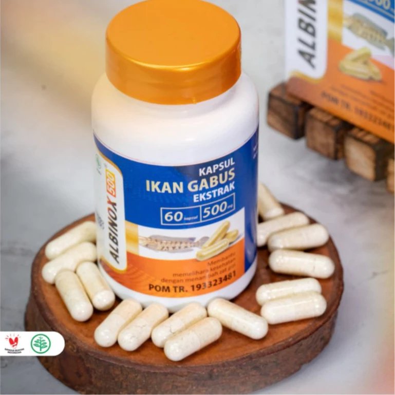 Kapsul Albinox Ekstrak Ikan Gabus Sari Kutuk Ikan Gabus 60 Kapsul Asli Original