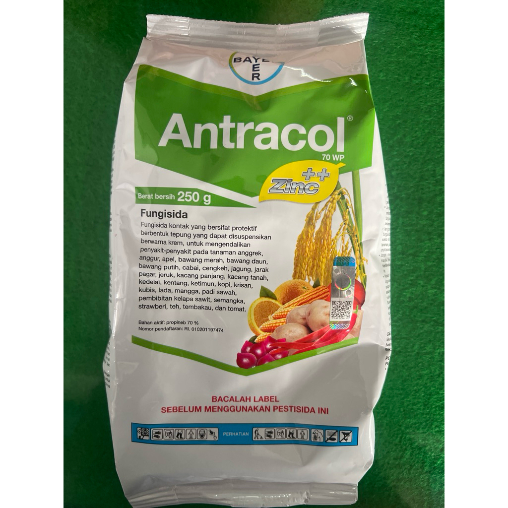 Fungisida Antracol 250Gram