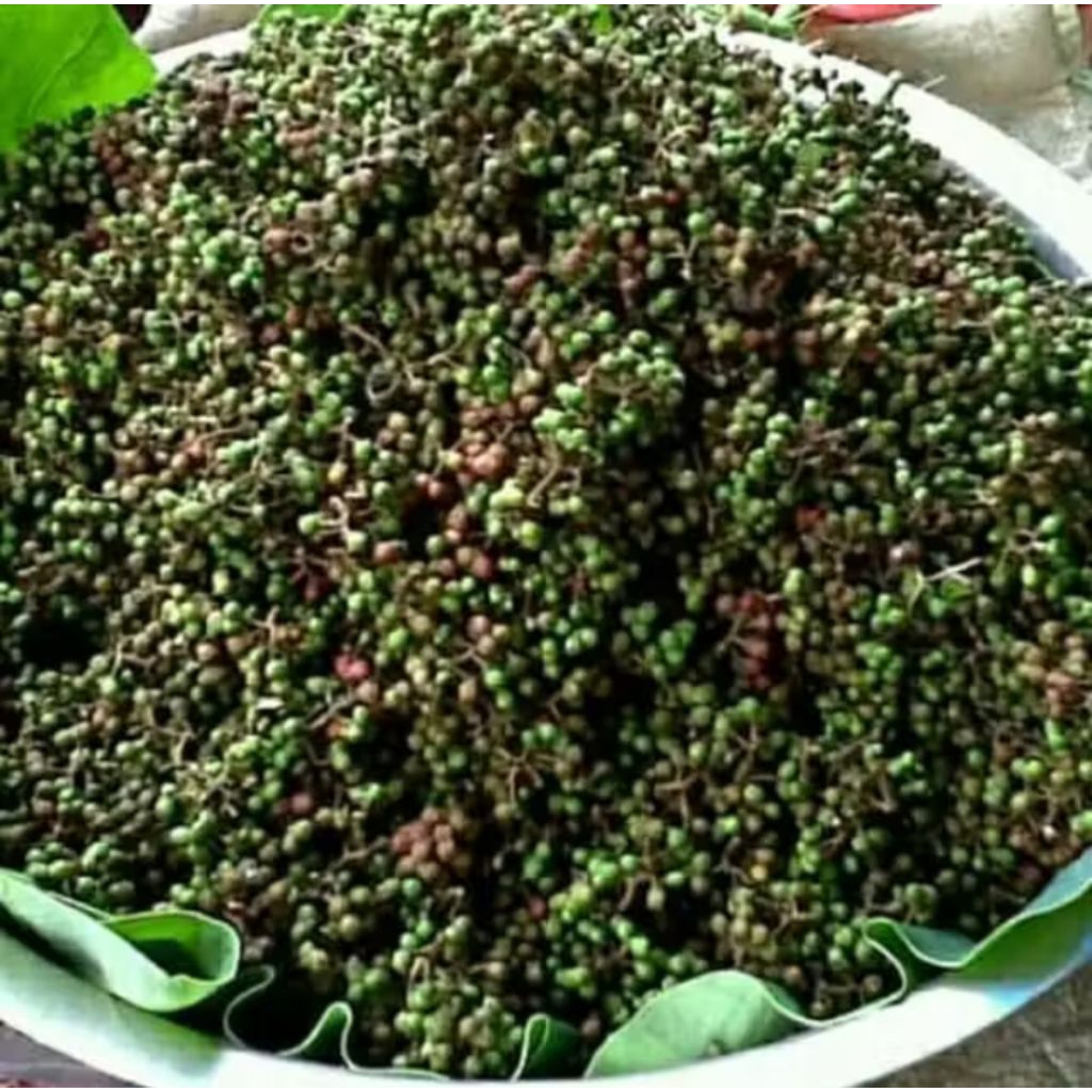 Andaliman / Andaliman Merica Khas Medan 10Gram / Andaliman