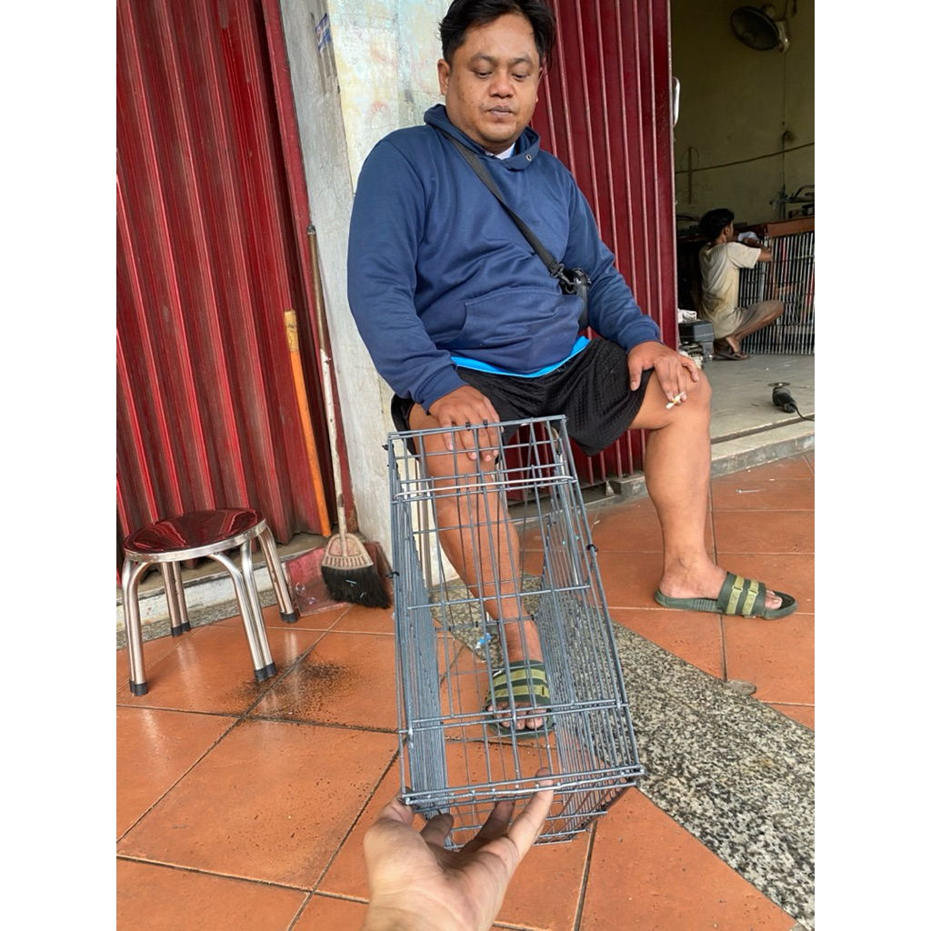 kandang Groming Mandiin kucing