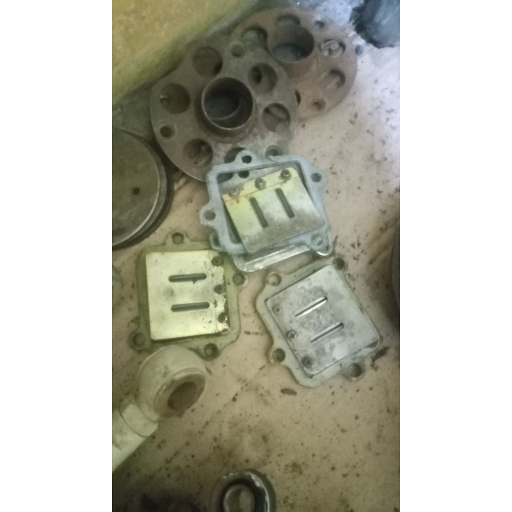 membran fizr original copotan