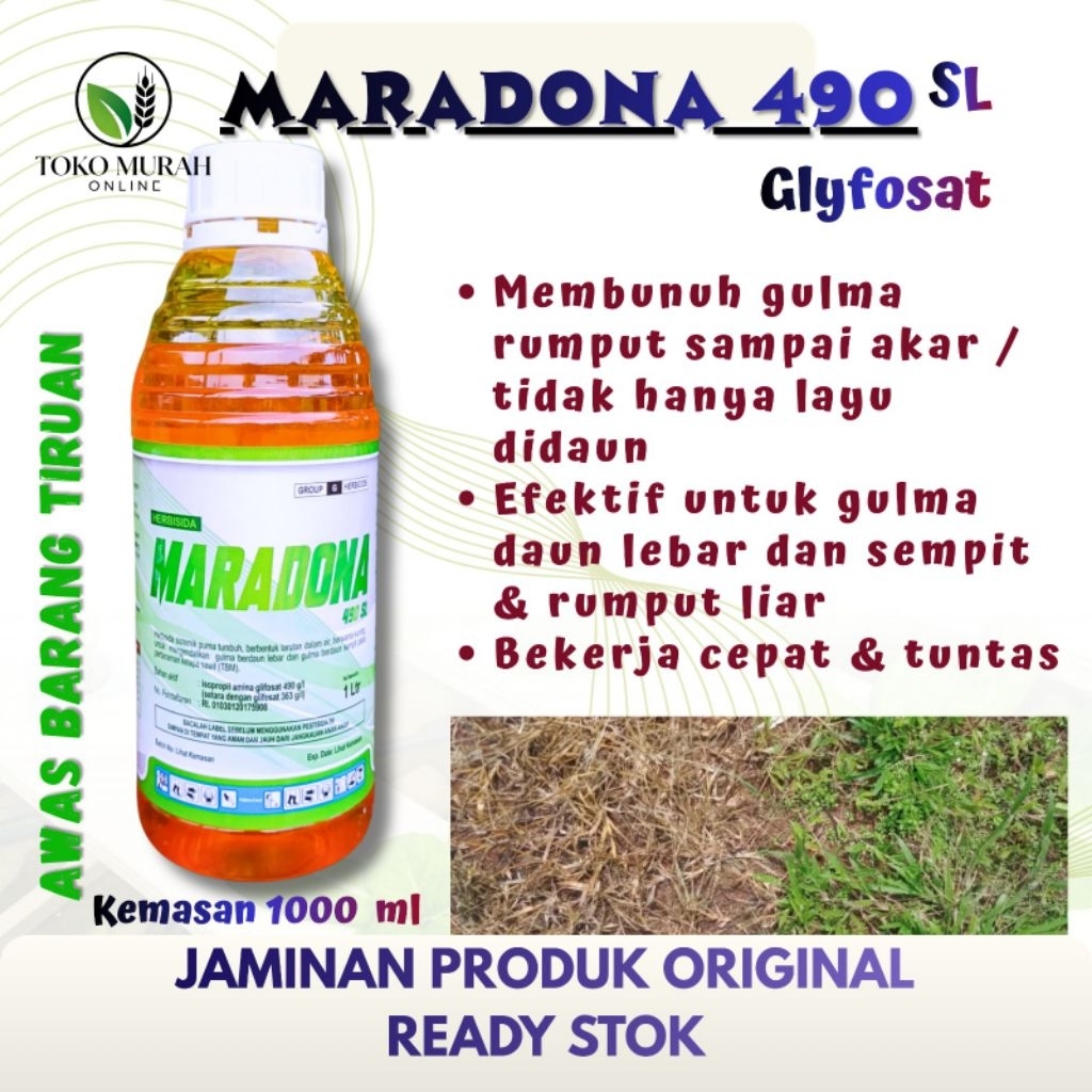 MARADONA 490 SL Glyfosat  – 1 Liter Herbisida Sistemik Paling Efektif dan Ampuh, Gulma Mati Total sa
