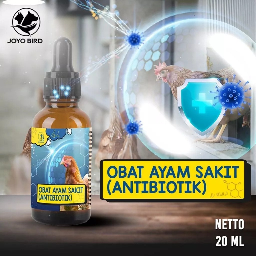 OBAT AYAM SAKIT (ANTIBIOTIK) | METABOLISME | SERUM ANTIBIOTIK | AYAM LESU | AYAM KURANG AKTIF | AYAM