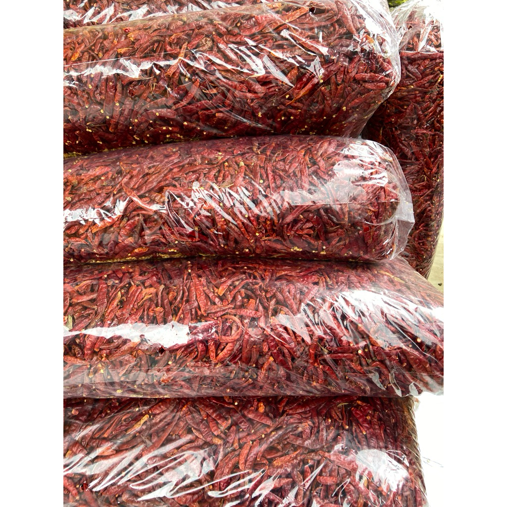 Cabe Rawit teja kering 1kg Super pedas