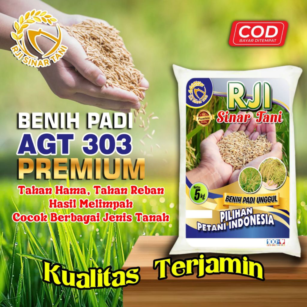 BENIH PADI UNGGUL AGT 303 ORIGINAL 5KG